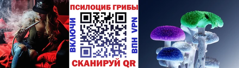 где купить   Далматово  Псилоцибиновые грибы прущие грибы 